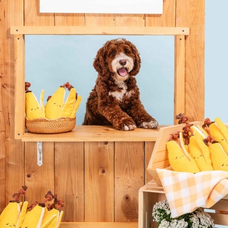 ZippyPaws Zabawka dla psa Banan z liną