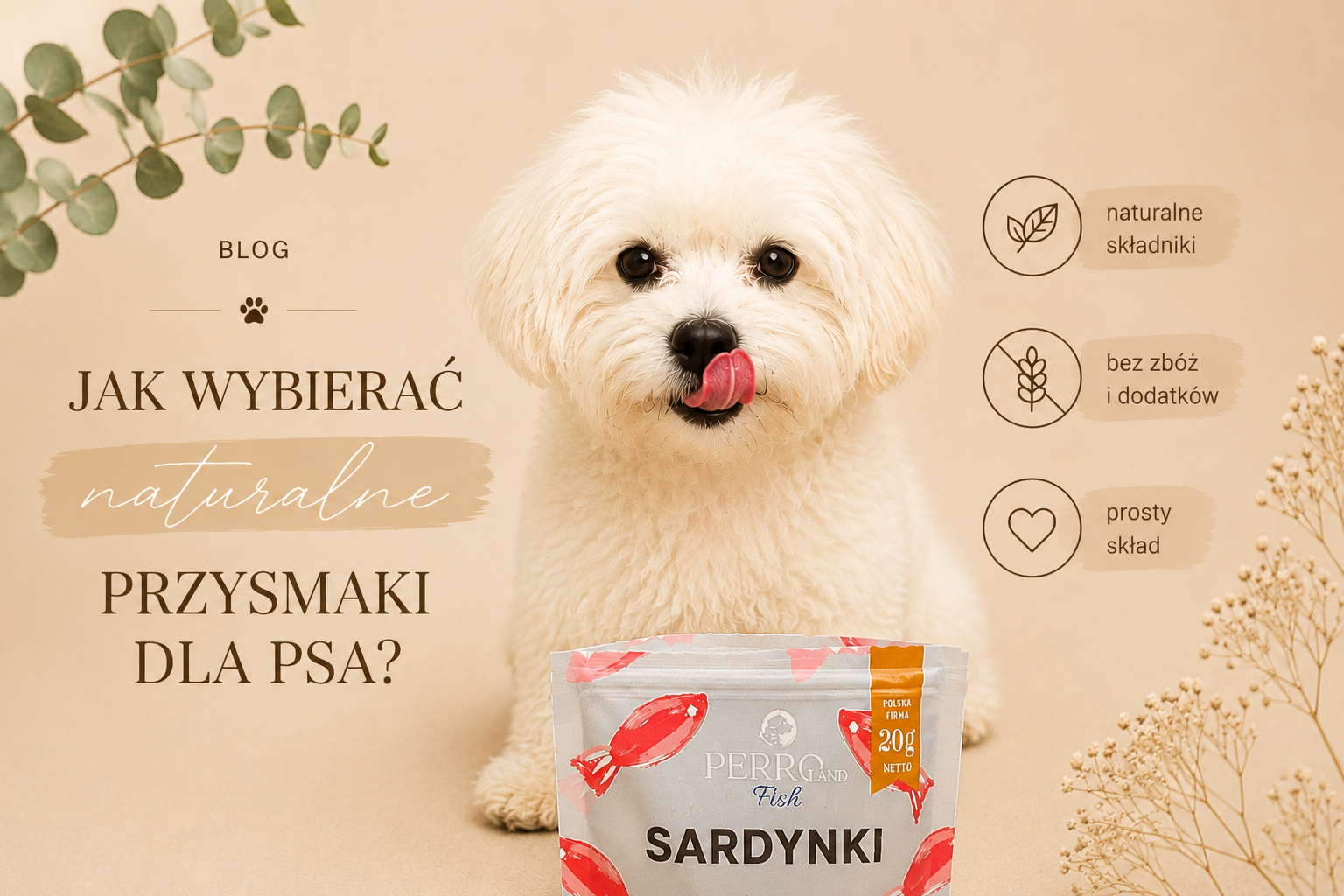 Jak wybierać naturalne przysmaki dla psa?